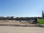 The entire lot. (Looks tons better than yesterday)