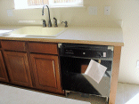 The dishwasher.