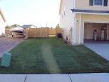 Southeast yard and fence.