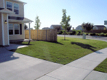 The front yard.