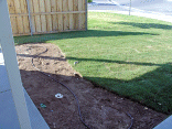 The future flower bed with drip irrigation.