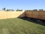 Backyard.