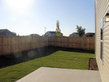 More backyard.